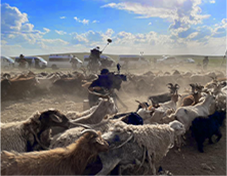 Outdoor locations in Mongolia